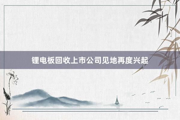 锂电板回收上市公司见地再度兴起