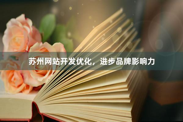 苏州网站开发优化，进步品牌影响力
